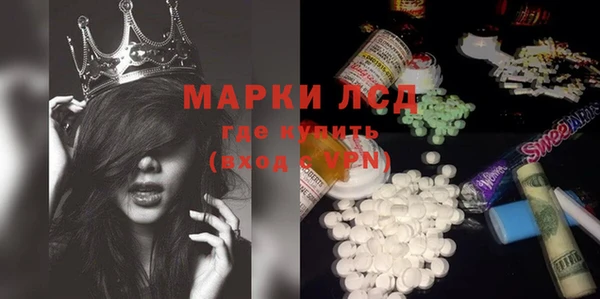 ГАЛЛЮЦИНОГЕННЫЕ ГРИБЫ Гусев