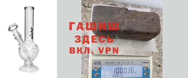 ГАЛЛЮЦИНОГЕННЫЕ ГРИБЫ Гусев