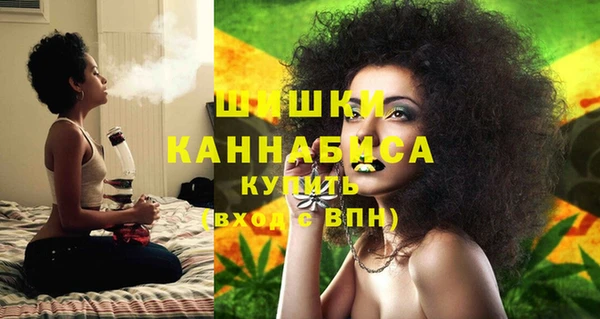 мдпв Горнозаводск