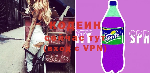 мдпв Горнозаводск