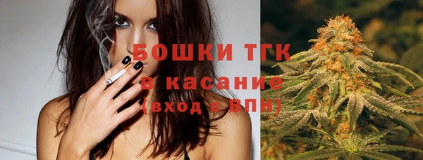 мдпв Горнозаводск