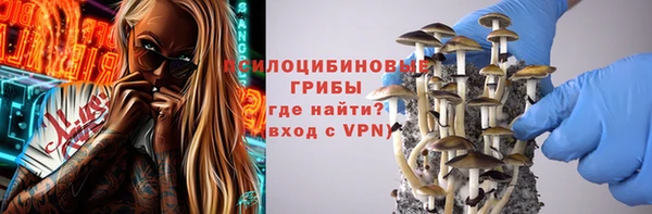 гидропоника Горно-Алтайск