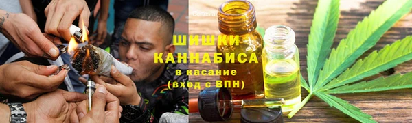 крисы Болотное