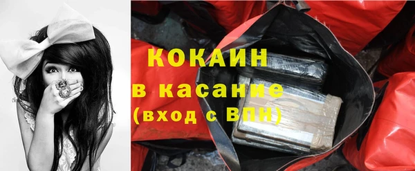 мдпв Горнозаводск