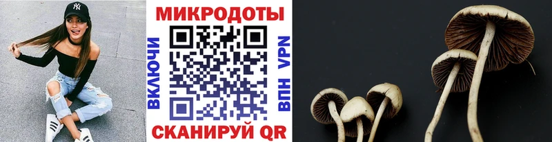 Галлюциногенные грибы ЛСД  МЕГА рабочий сайт  Дивногорск  где купить наркоту 